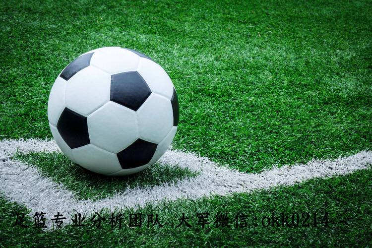 泛站群是怎么回事